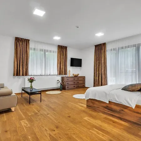 アパート Adelka 102 スピンドレルフ・ムリン